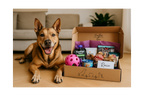 Huellas box- Caja personalizada para perros y gatos.