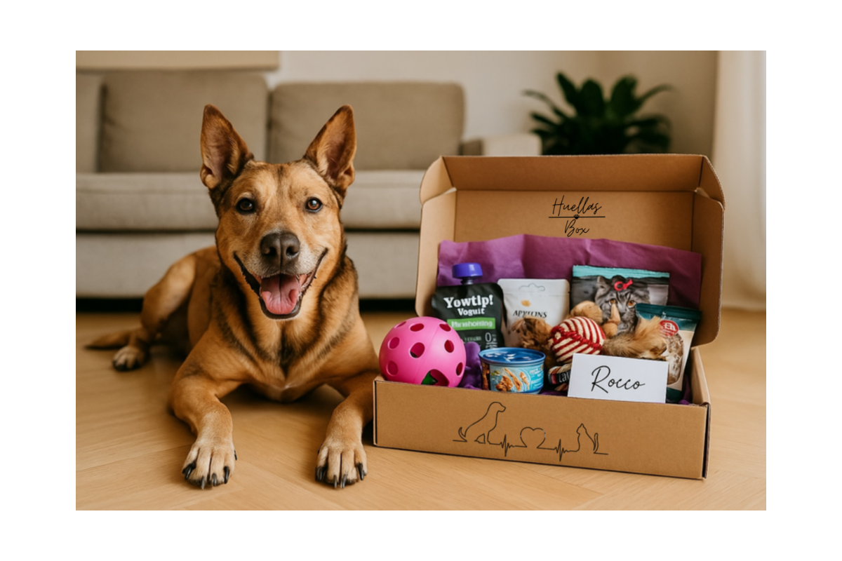 Huellas box- Caja personalizada para perros y gatos.