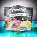 Yow up-Yogur helado de bacon cake