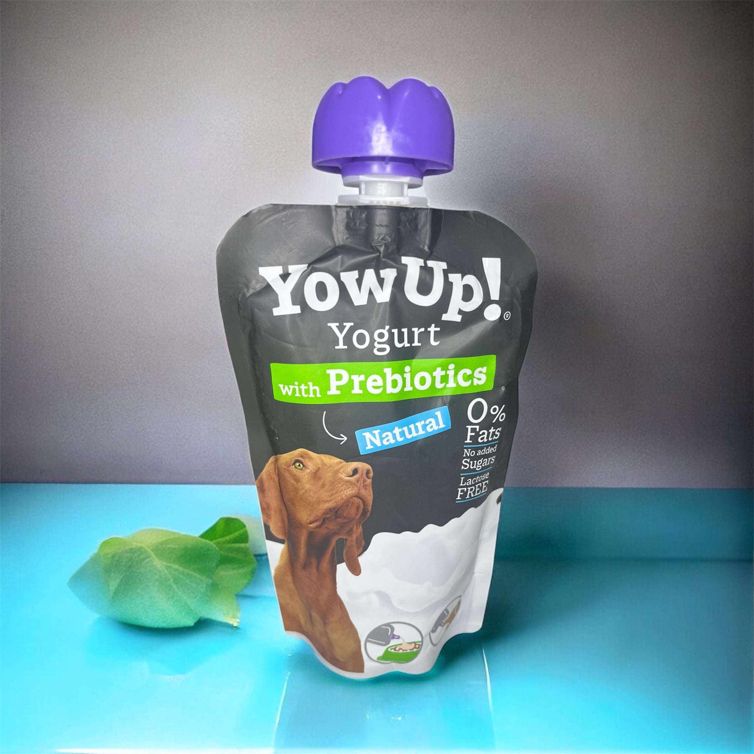 Yow up- yogurt con probióticos para perros