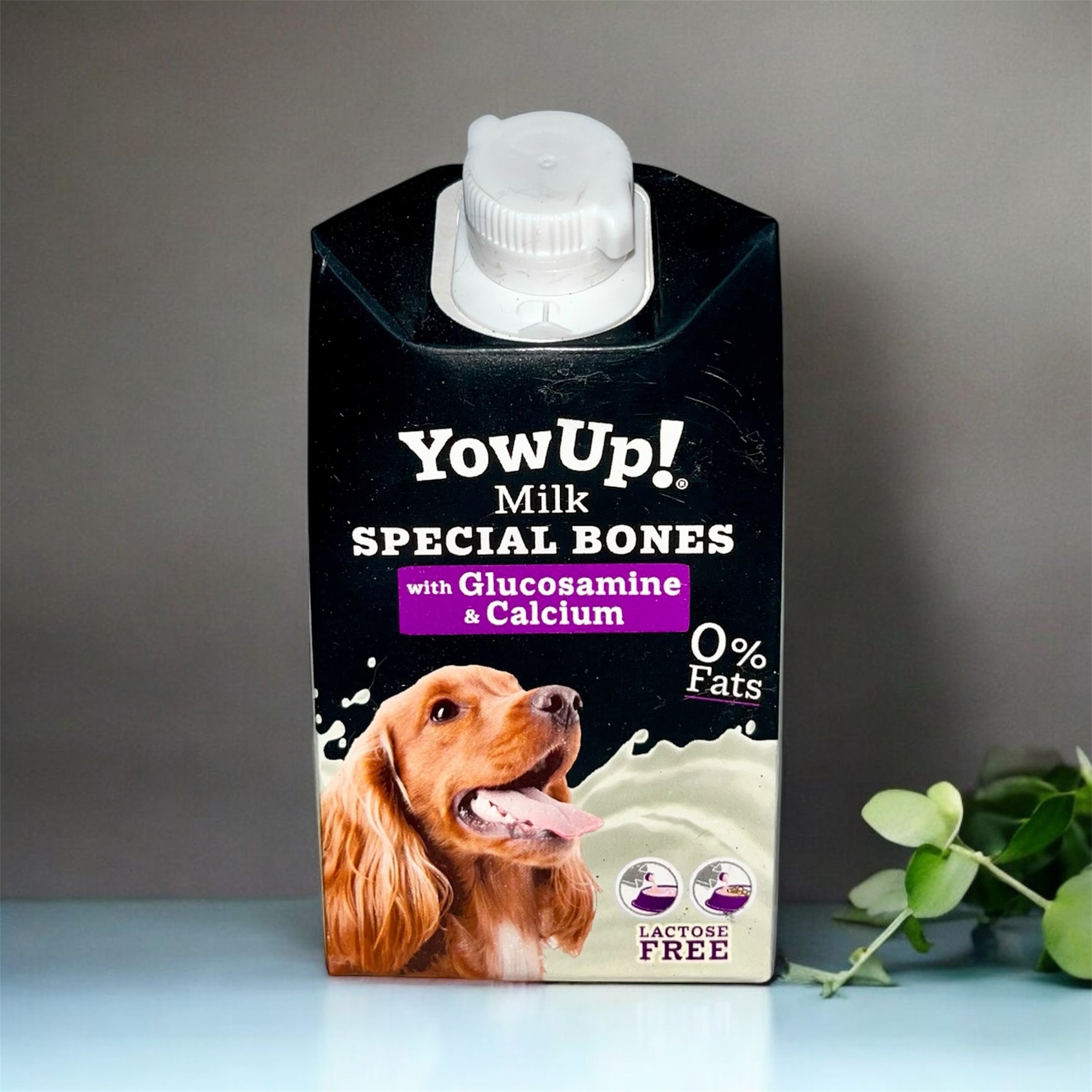 Yow up- Leche funcional para perros